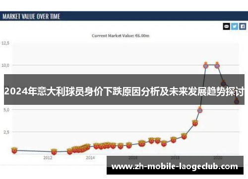 2024年意大利球员身价下跌原因分析及未来发展趋势探讨