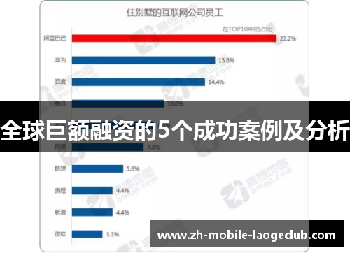 全球巨额融资的5个成功案例及分析