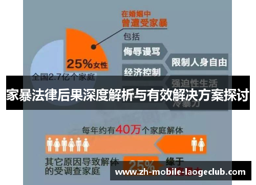家暴法律后果深度解析与有效解决方案探讨