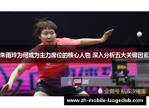 朱雨玲为何成为主力席位的核心人物 深入分析五大关键因素
