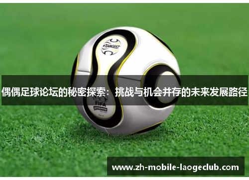 偶偶足球论坛的秘密探索：挑战与机会并存的未来发展路径