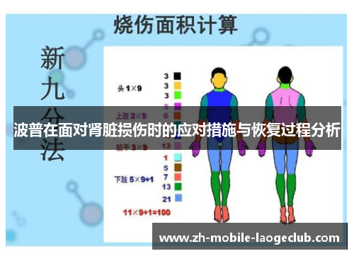 波普在面对肾脏损伤时的应对措施与恢复过程分析