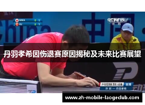 丹羽孝希因伤退赛原因揭秘及未来比赛展望