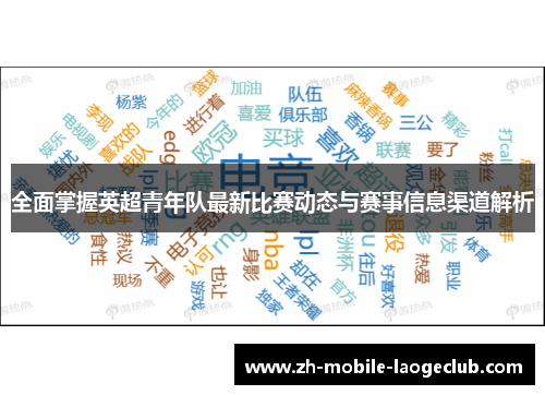 全面掌握英超青年队最新比赛动态与赛事信息渠道解析