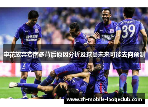 申花放弃费南多背后原因分析及球员未来可能去向预测