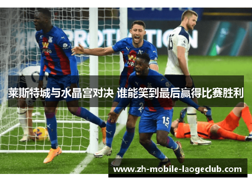 莱斯特城与水晶宫对决 谁能笑到最后赢得比赛胜利