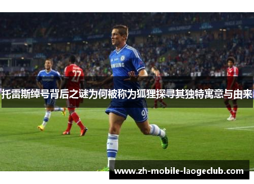 托雷斯绰号背后之谜为何被称为狐狸探寻其独特寓意与由来