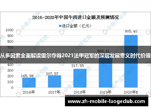 从多因素全面解读里尔夺得2021法甲冠军的深层发展意义时代价值 从多因素全面解读里尔夺得2021法甲冠军的深层发展意义时代价值