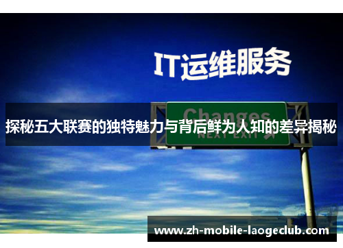 探秘五大联赛的独特魅力与背后鲜为人知的差异揭秘