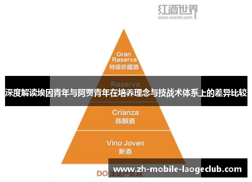 深度解读埃因青年与阿贾青年在培养理念与技战术体系上的差异比较 深度解读埃因青年与阿贾青年在培养理念与技战术体系上的差异比较