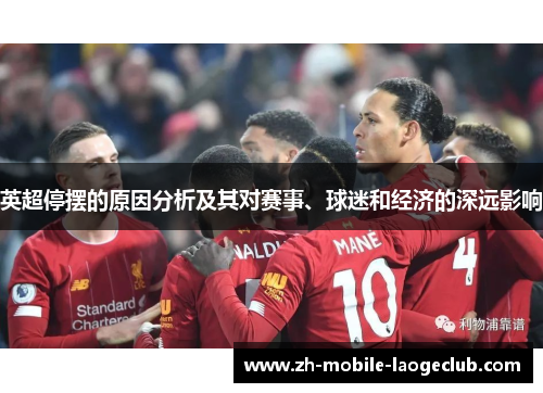 英超停摆的原因分析及其对赛事、球迷和经济的深远影响 英超停摆的原因分析及其对赛事、球迷和经济的深远影响