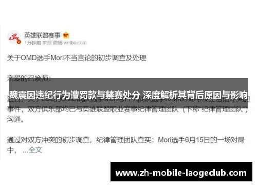 魏震因违纪行为遭罚款与禁赛处分 深度解析其背后原因与影响
