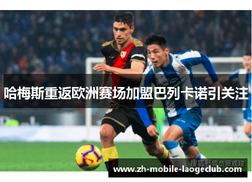 哈梅斯重返欧洲赛场加盟巴列卡诺引关注 哈梅斯重返欧洲赛场加盟巴列卡诺引关注