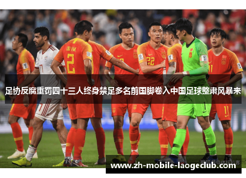 足协反腐重罚四十三人终身禁足多名前国脚卷入中国足球整肃风暴来
