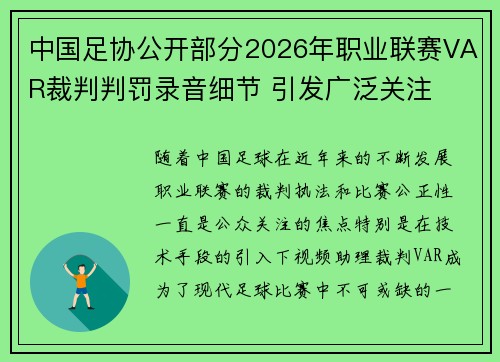 中国足协公开部分2026年职业联赛VAR裁判判罚录音细节 引发广泛关注