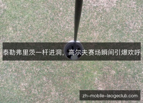 泰勒弗里茨一杆进洞,高尔夫赛场瞬间引爆欢呼 泰勒弗里茨一杆进洞,高尔夫赛场瞬间引爆欢呼